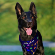 Custom Pet's Name Colorful Paw Prints Blue BG