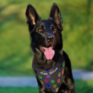 Custom Pet's Name Colorful Paw Prints Dark Grey BG