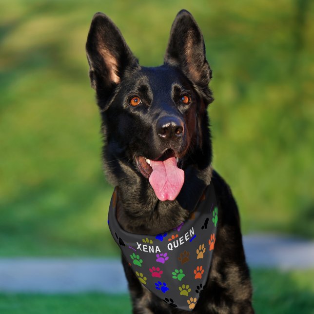 Custom Pet's Name Colorful Paw Prints Dark Grey BG Pet Bandana Collar (Dog)