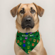Custom Pet's Name Colorful Paw Prints Green BG
