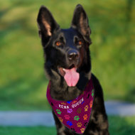 Custom Pet's Name Colorful Paw Prints Purple BG