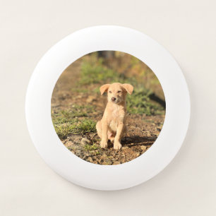 Custom Photo Add Your Own Photo create your own Wham-O Frisbee