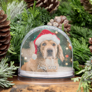 Custom Photo and Name Double Sided Pet Snow Globe