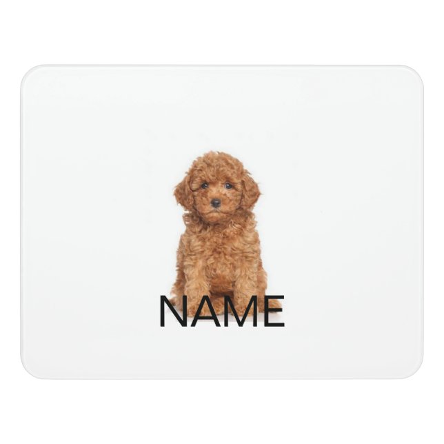 Custom photo and name text door sign (Contemporary Front)
