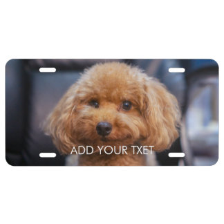 Custom Photo and Text Personalized  License Plate