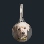 Custom Photo and Text Personalized Pet ID Tag<br><div class="desc">Create a unique pet ID tag for your favorite furry friend.  Add your own photo and name to the front.  All text on the back of the tag is customizable.</div>