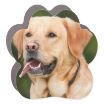 Custom Photo Animal Lover Dog Lover Car Magnet
