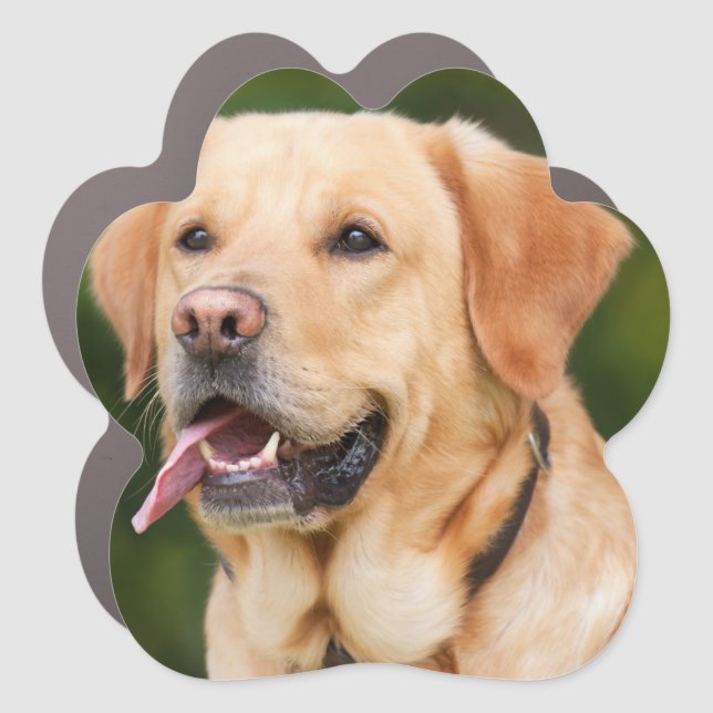 Custom Photo Animal Lover Dog Lover Car Magnet (Front)