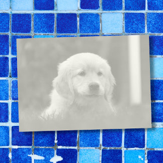 Custom Photo, Auto Convert Pic to Light Tone B & W