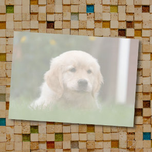 Custom Photo | Auto Convert Your Pic to Light Tone Post-it Notes