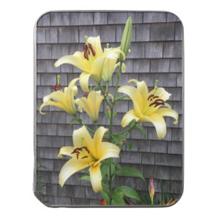 CUSTOM PHOTO Beautiful Yellow Daylily Jigsaw Puzzle