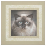 Custom Photo Beige Quilt Square Fabric