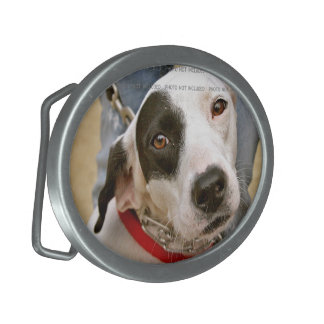 Custom Photo Belt Buckles Custom Made Belt Buckles