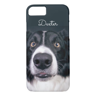 Custom Photo Border Collie Dog Face iPhone 8/7 Case
