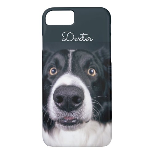Custom Photo Border Collie Dog Face iPhone 87 Case