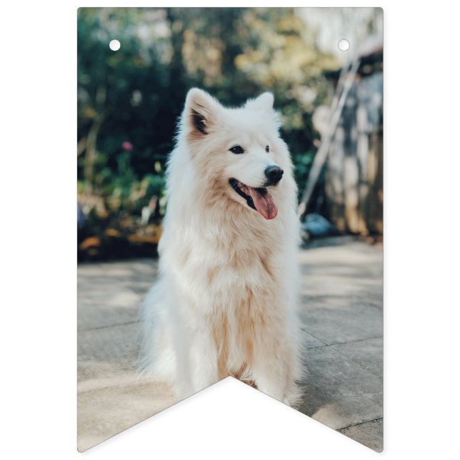 Custom photo bunting flags birthday pet dog  (Fifth Flag)