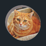 Custom Photo Car Magnet<br><div class="desc">Show off your style on the go with our Custom Photo Car Magnet! Personalize your ride with your favorite images,  perfect for expressing yourself or promoting your brand. Easy to apply,  remove,  and reposition without damage.</div>