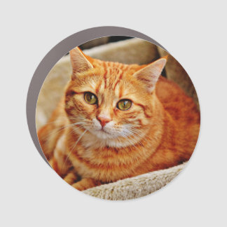 Custom Photo Car Magnet