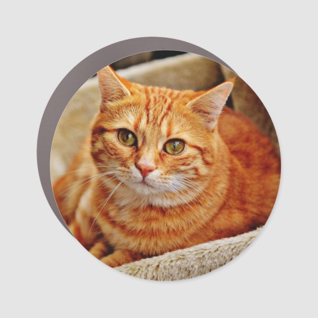 Custom Photo Car Magnet (Front)