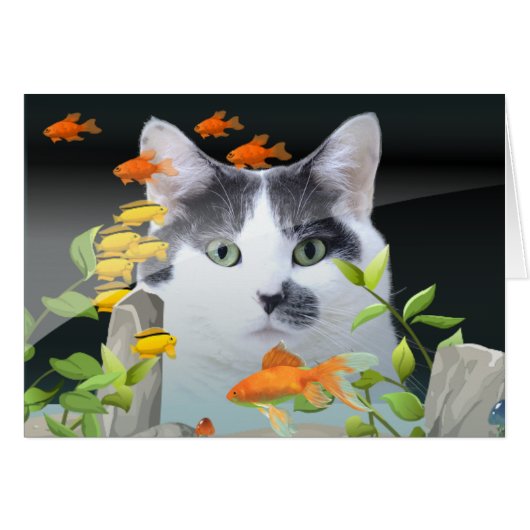 Custom Photo Cat Peering in Fish Tank Cards (Front Horizontal)