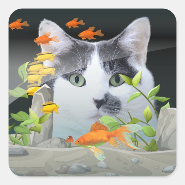 Custom Photo Cat Peering in Fish Tank Square Sticker (Front)