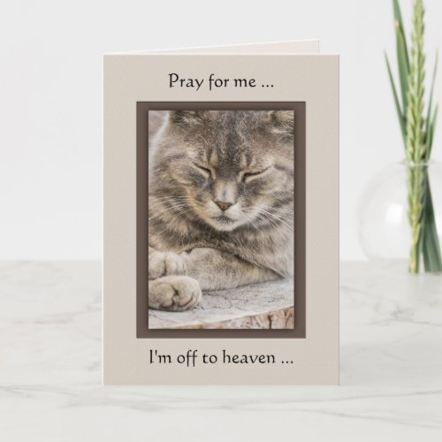 Custom Photo Cat Sympathy Card