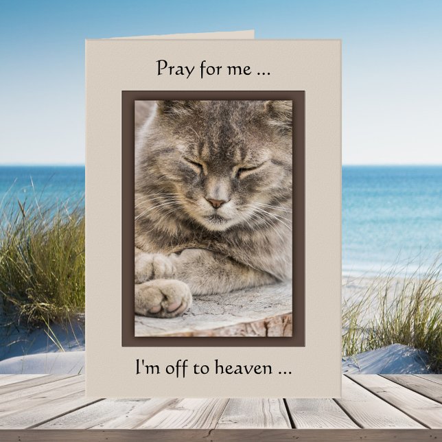 Custom Photo Cat Sympathy Card (Cat sympathy greeting card featuring your custom photo)