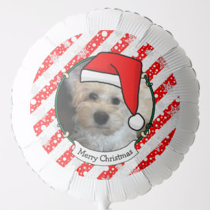 Custom Photo Christmas Santa Hat Pet HO HO HO Balloon
