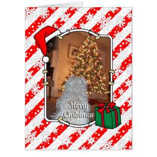 Custom Photo Christmas Santa Hat Pet HO HO HO Card