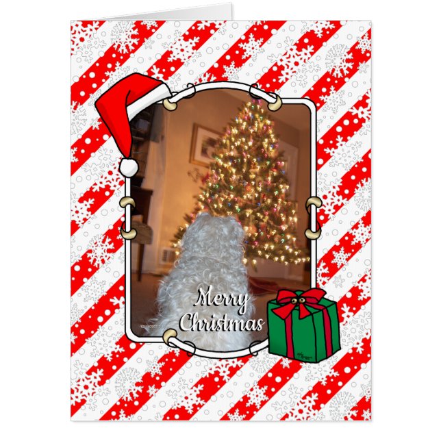 Custom Photo Christmas Santa Hat Pet HO HO HO Card (Front)