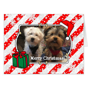 Custom Photo Christmas Santa Hat Pet HO HO HO Card