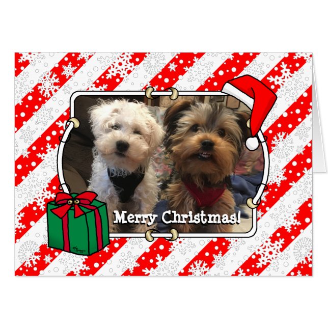 Custom Photo Christmas Santa Hat Pet HO HO HO Card (Front Horizontal)