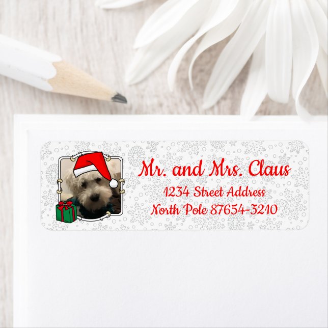 Custom Photo Christmas Santa Hat Pet HO HO HO Label (Insitu)