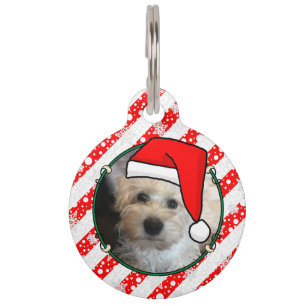 Custom Photo Christmas Santa Hat Pet HO HO HO Pet ID Tag