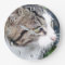 Custom photo clock | Add your image here