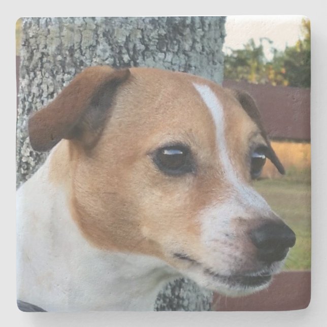 Custom photo coaster (Front)