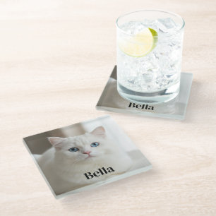 Custom photo coaster with snow white cat
