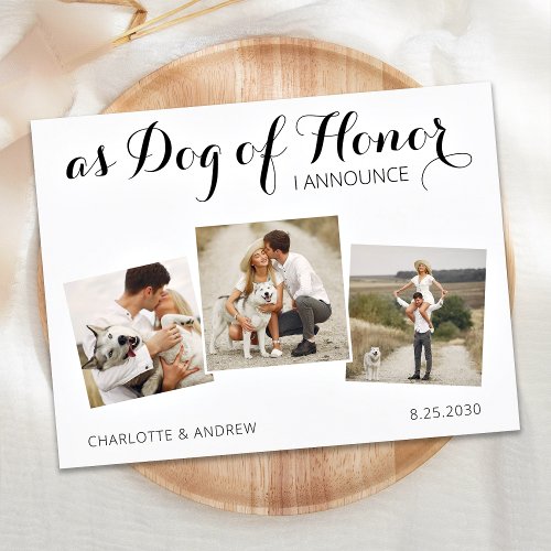 Custom Photo Collage Dog Of Honor Elopement Announcement Postcard