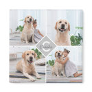 Custom Photo Collage Monogram Name Dog Magnet Custom Photo Collage Monogram Name Dog Magnet