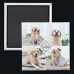 Custom Photo Collage Monogram Name Dog Magnet<br><div class="desc">Celebrate your best friend with a custom Monogram Pet Photo Collage magnet . When you have so many fun memories and photos , one photo isn't enough . Our Dog Photo magnet has four photos. Whether you have a new puppy , or to memorialize all the special moments thru each...</div>