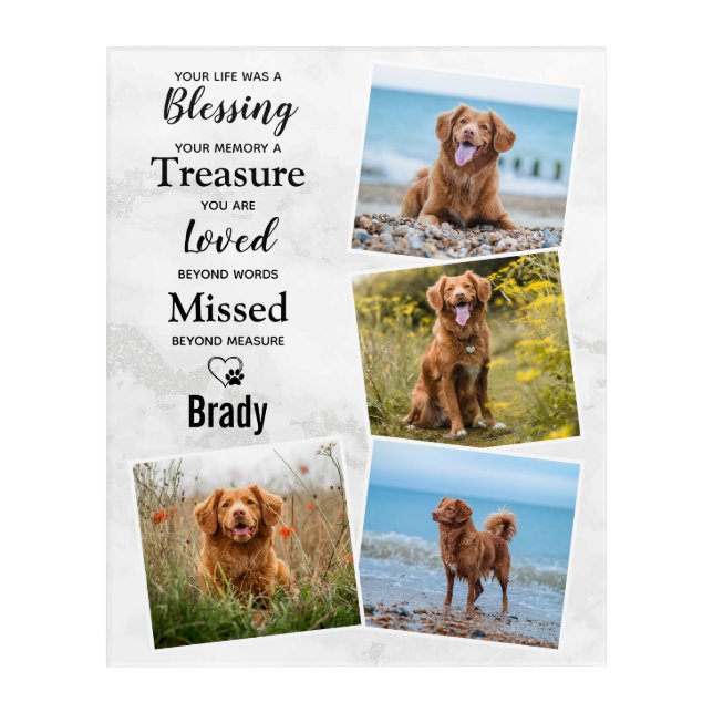 Custom Photo Collage Pet Dog Memorial Acrylic Print (Front)