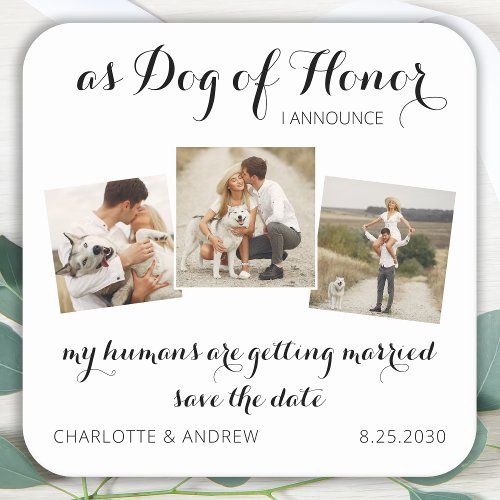 Custom Photo Collage Pet Dog Save The Date Cards  Square Paper Coaster
