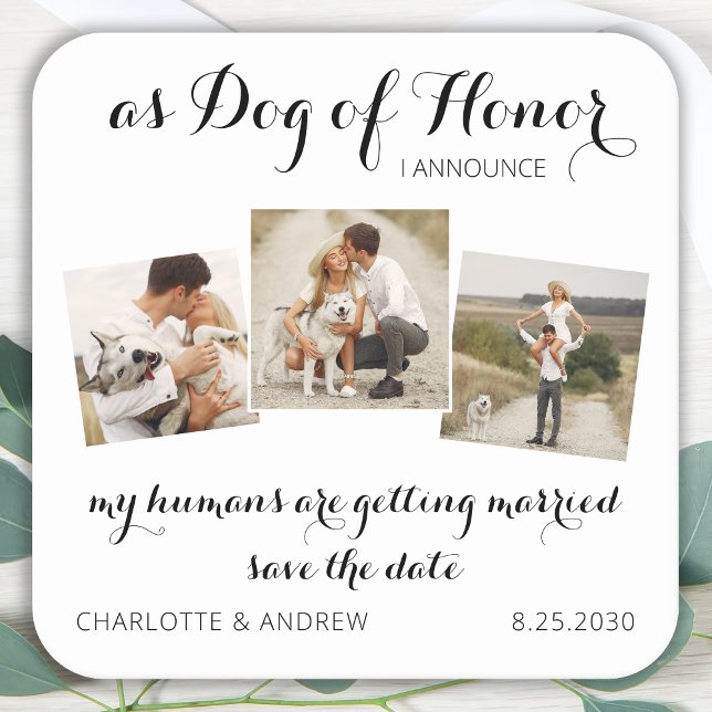 Custom Photo Collage Pet Dog Save The Date Cards  Square Paper Coaster (Creator Uploaded)