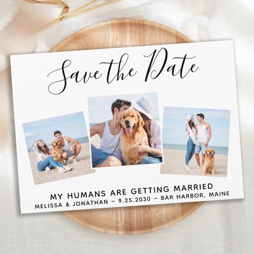 Custom Photo Collage Pet Dog Wedding Save The Date
