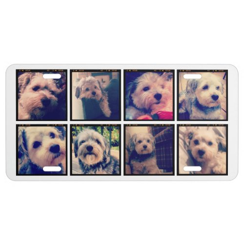 Custom Photo Collage with Square Photos License Plate