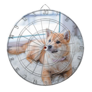 Custom Photo Dart Board