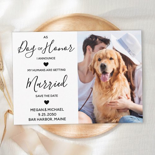 Custom Photo Dog Of Honor Pet Wedding Save The Date