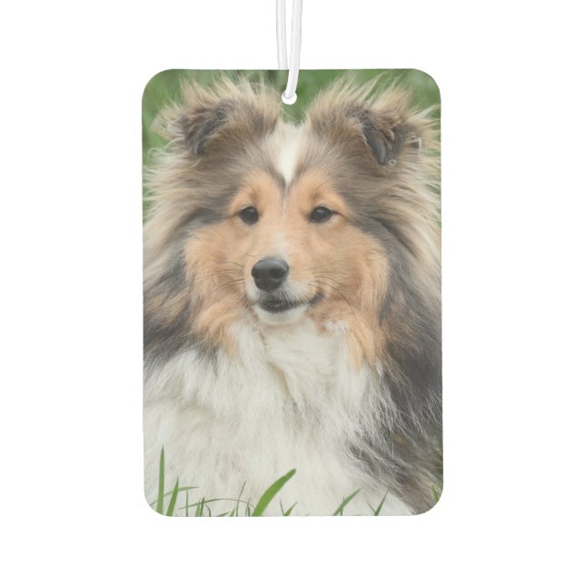 Custom Photo Dog Pet Memorial Photo Air Freshener (Back)