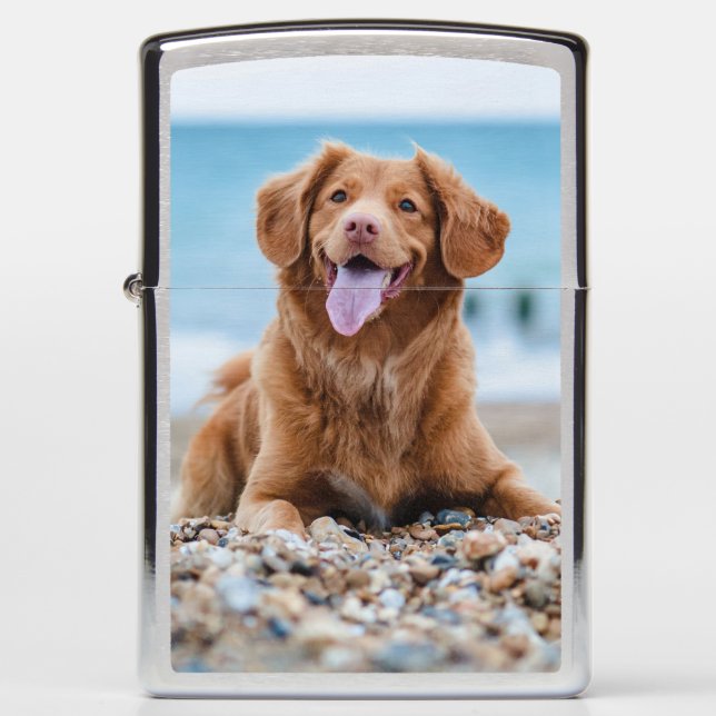 Custom Photo Dog Zippo Lighter (Front)