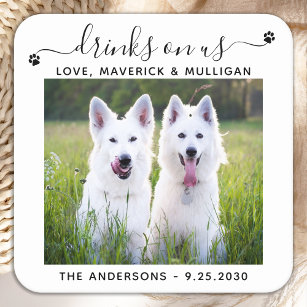 Custom Photo Drinks On Us Dog Bar Pet Wedding Square Paper Coaster